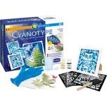 Sentosphere Kyanotypie vyvolávání…