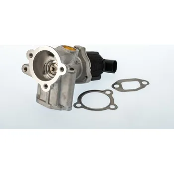 Ventil palivového systému AGR-Ventil BorgWarner (Wahler) 710773D/1