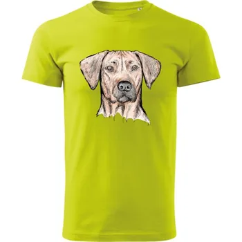 Pánská móda Pánské tričko, Rhodéský ridgeback Limetková 2XL