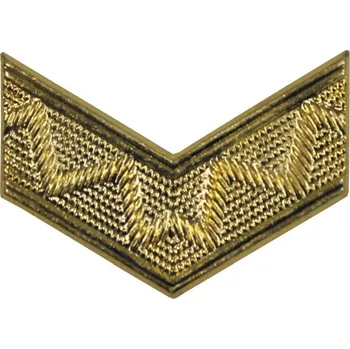 Odznak ČSLA kolejnička rozlišovací zlatá Véčko