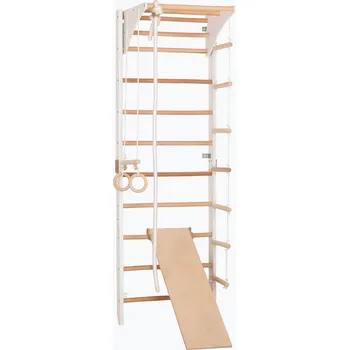 Železářství Gymnastický žebřík RINAGYM Combi 3 white