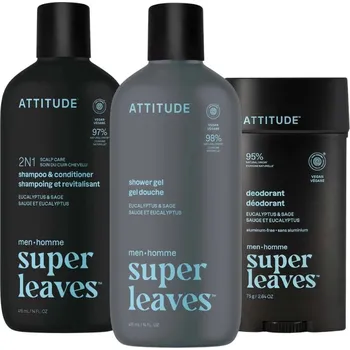 Kosmetická sada Pánská sada Eukalyptus a Šalvěj Super leaves