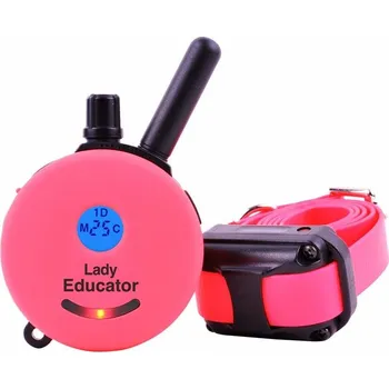 Obojek pro psa E-collar Educator ET-300 - pro 1 psa žlutá