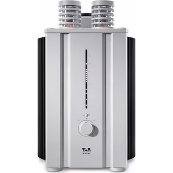 Hi-Fi Zesilovač T+A M 40 HV | Mono koncový zesilovač
