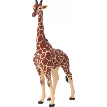 ŽIRAFA SAMEC - Samec žirafy - PAPO - 50149