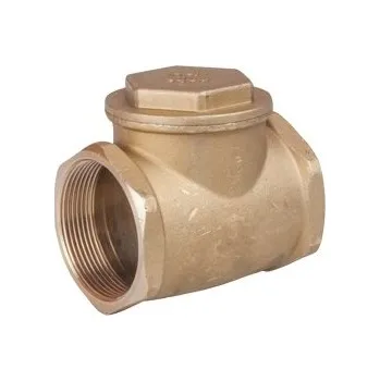 Příslušenství k čerpadlu Giacomini zpětná klapka 1" - N6Y005