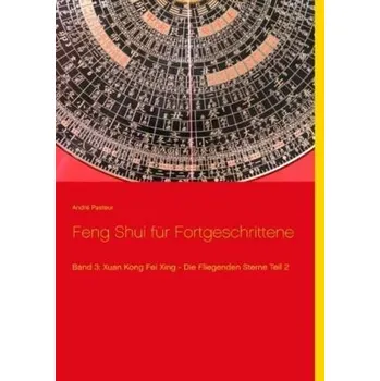 Feng Shui für Fortgeschrittene. Bd.3/2 - Pasteur, André