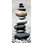 AG Design Fototapeta na dveře 90 x 202…