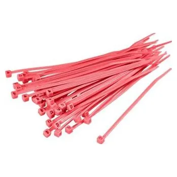 Organizace kabelů Páska vázací 10cm x 2.5mm 100ks, červená