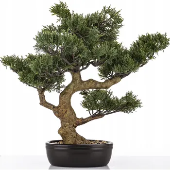 umělá květina Zelená dekorativní rostlina v černém květináči - umělý květ stromek bonsai