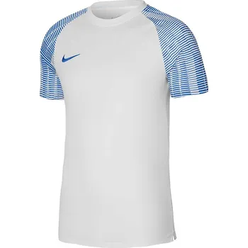 Pánské tričko Tričko Nike Dri-FIT Academy JSY SS DH8031 102 S