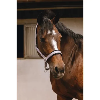 Vybavení pro koně EQUITHÈME Ohlávka Jacquard Equithème, lilas COB