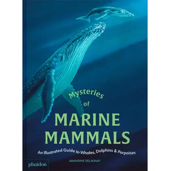 Cizojazyčná kniha Mysteries of Marine Mammals – Amandine Delaunay
