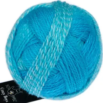 Příze Schoppel Wolle Crazy Boys 2696 Ludwig (Vlněná příze Crazy Boys 2696 Ludwig )