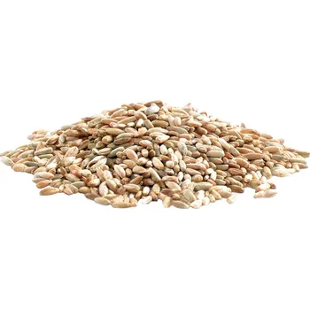 Semeno ASO - Zdravý život Žito původní Bio Hmotnost: 500g