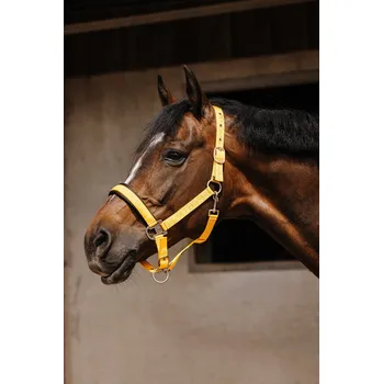 EQUITHÈME Ohlávka Jacquard Equithème, gold COB