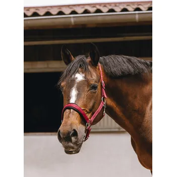 EQUITHÈME Ohlávka Jacquard Equithème, burgundy PONY