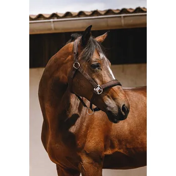 EQUITHÈME Ohlávka Jacquard Equithème, hnědá PONY