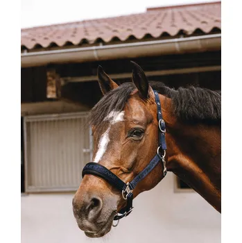 EQUITHÈME Ohlávka Jacquard Equithème, navy FULL