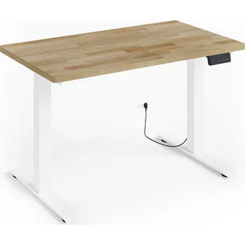 Psací stůl Obdélníkový psací stůl Homlando 120 x 65 x 75 cm bílý, přírodní dub