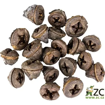 Dekorace - přízdoba - Eucalyptus Pod 250g