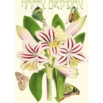 Přání B6 s glitry a obálkou - Narozeniny Amarylis