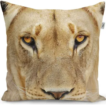 Polštář Sablio Polštář Pohled lvice - 50x50 cm