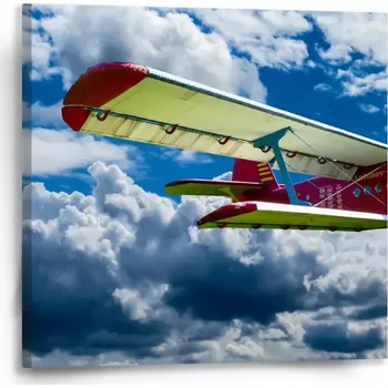 Obraz Sablio Obraz Letoun - 50x50 cm