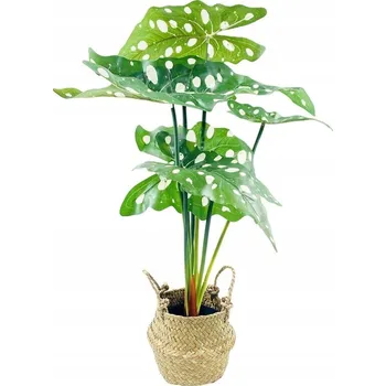 umělá květina Umělý květ květina v květináči ALOKÁZIE zelená 51 cm