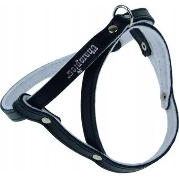 Postroj pro psa Champion Postroj 40 černý [SD]