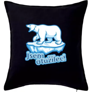 Polštář Jsem otužilec - medvěd - Polštář 50x50 - 50x50 - Pouze potah ( Černá )