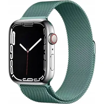 Řemínek na hodinky OCELOVÝ MINT PÁSEK MILÁNSKÝ TAH PRO APPLE WATCH 42/44/45/49 MM ELEGANTNÍ