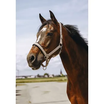 EQUITHÈME Ohlávka Jacquard Equithème, taupe COB