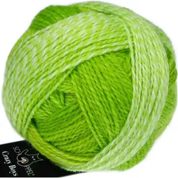 Příze Schoppel Wolle Crazy Boys 2697 Kurt Georg (Vlněná příze Crazy Boys 2697 Kurt Georg)