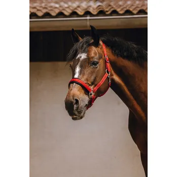 EQUITHÈME Ohlávka Jacquard Equithème, red COB