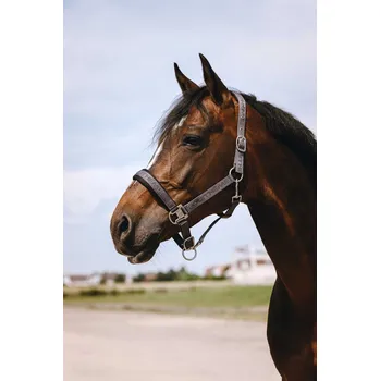 EQUITHÈME Ohlávka Jacquard Equithème, grey PONY