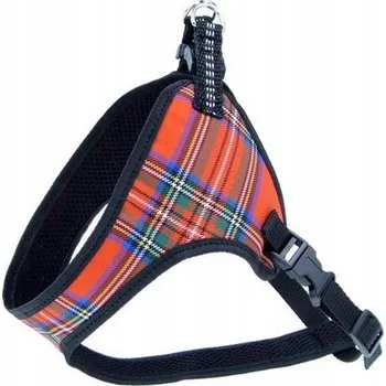 Postroj pro psa Champion Postroj pro psa, popruh 40, komfortní [TSZ]