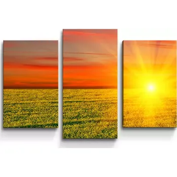 Obraz Sablio Obraz - 3-dílný Západ slunce nad loukou - 75x50 cm