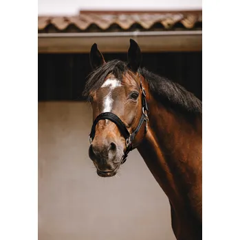 EQUITHÈME Ohlávka Jacquard Equithème, černá COB