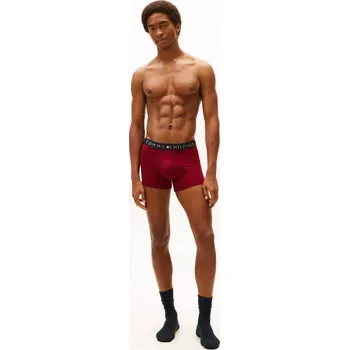 Boxerky Pánský set Tommy Hilfiger UM0UM03048 0SZ XXL Wine