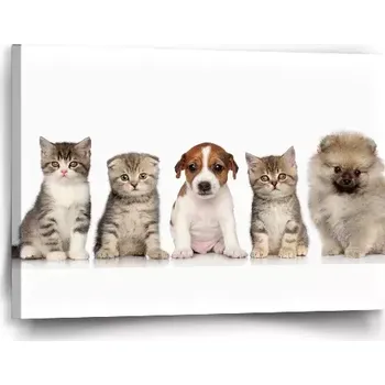 Obraz Sablio Obraz Mláďátka - 60x40 cm