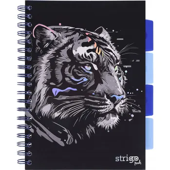 Sešit Linkovaný sešit Strigo B5, 100 listů