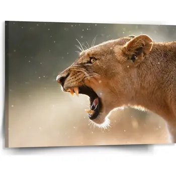 Obraz Sablio Obraz Rozzuřená lvice - 150x110 cm
