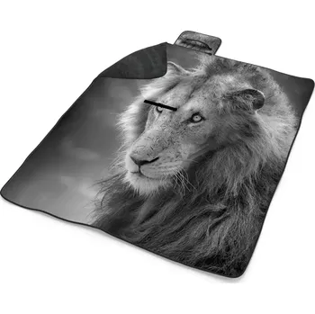 deka Sablio Plážová deka Lvíček: 200x140 cm