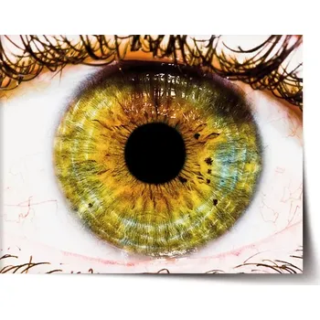 Plakát Sablio Plakát Oko - 60x40 cm