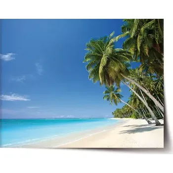 Plakát Sablio Plakát Palmová pláž - 120x80 cm