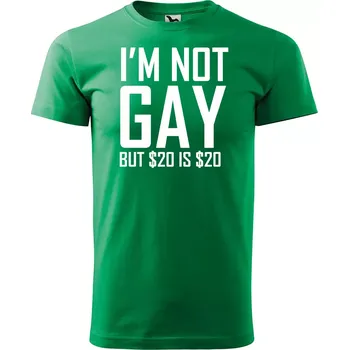 Sablio Tričko s potiskem I am not gay, but... - zelené XL