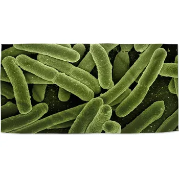 Sablio Ručník Bakterie - 30x50 cm