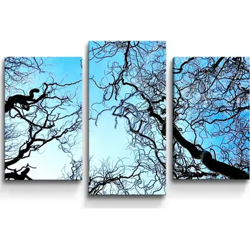 Obraz Sablio Obraz - 3-dílný Holé větve - 75x50 cm