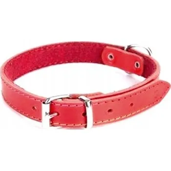 Obojek pro psa Kožený obojek pro psa Dingo vel. S/M